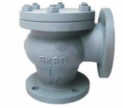 JIS F7359 5K/10K Marine cast iron lift check angle valve